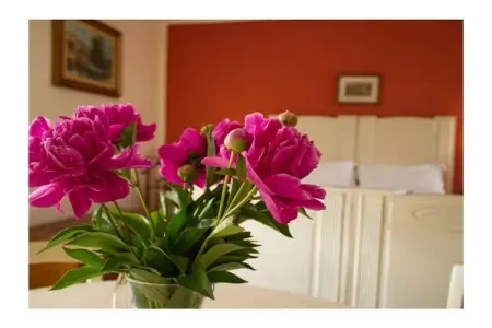 Casa Natalia à Peschiera del Garda : maison 2 chambres avec jardin : photo 17