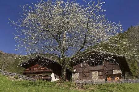 Gruebhof, maison 24 pers. avec sauna à St. Pankraz : photo 2