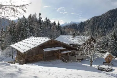 Gruebhof, maison 24 pers. avec sauna à St. Pankraz : photo 10