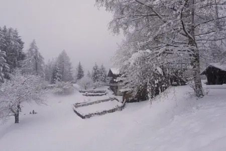 Gruebhof, maison 24 pers. avec sauna à St. Pankraz : photo 20