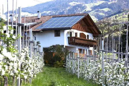 Appartement Löwenzahn à Kuens, balcon sud avec vue Merano : photo 3