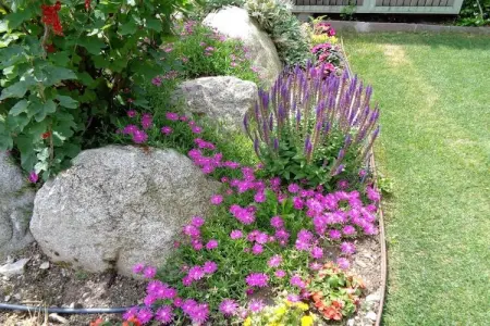 Maison avec mini-ferme à Lana bei Meran : photo 6