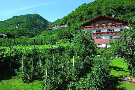 Maison Schrenteweinhof entre vignes et vergers à Lana : photo 3