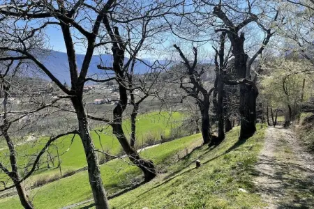 Maison 5 pers. à Völlan : balcons montagne et jardin : photo 9