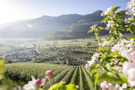 Suite de luxe avec balcon panoramique à Schenna : photo 15