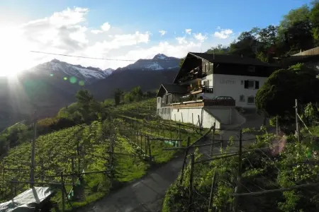 Maison familiale sur vignes avec vue Merano : photo 2