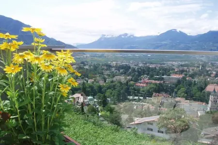 Maison familiale sur vignes avec vue Merano : photo 8