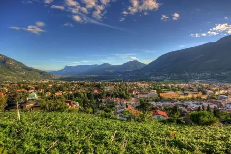 Maison familiale sur vignes avec vue Merano : photo 9