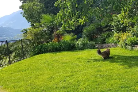 Maison familiale sur vignes avec vue Merano : photo 22