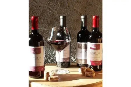 Maison familiale sur vignes avec vue Merano : photo 25