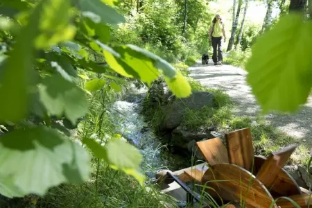 Maison familiale à Partschins, accès direct aux Alpes : photo 11