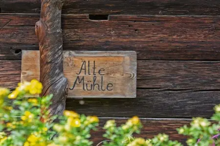 Maison en bois Schnals, 5 pers., barbecue & jardin : photo 3