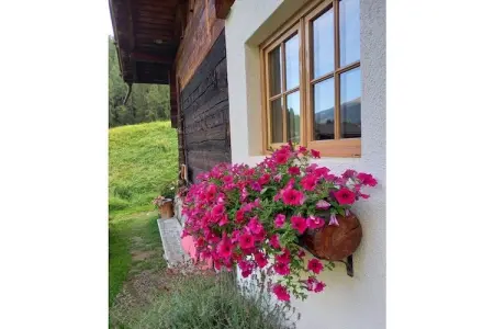 Maison en bois Schnals, 5 pers., barbecue & jardin : photo 6