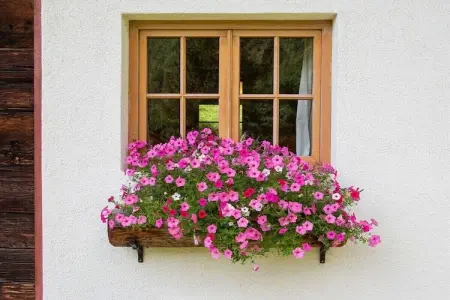 Maison en bois Schnals, 5 pers., barbecue & jardin : photo 7