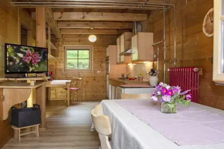 Maison en bois Schnals, 5 pers., barbecue & jardin : photo 10