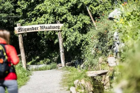 Maison avec verger bio et étang à Algund : photo 23