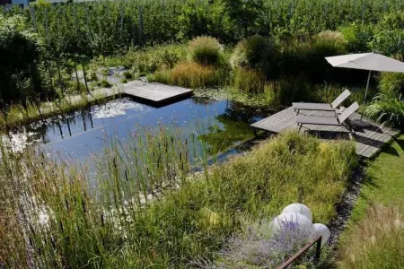 Maison avec étang de baignade à Algund : photo 5