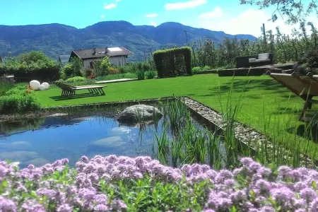 Maison avec étang de baignade à Algund : photo 17