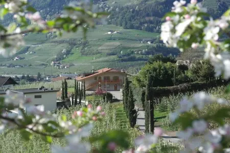 Maison Voglsang à Algund, meubles artisanaux et jardin privé : photo 2