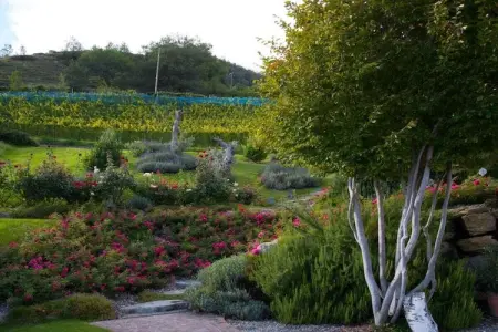 Maison 2 chambres avec jardin plein sud à Naturns : photo 15