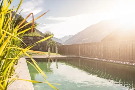Geigerhof : maison 20 pers. avec piscine chauffée à Steinhaus : photo 21