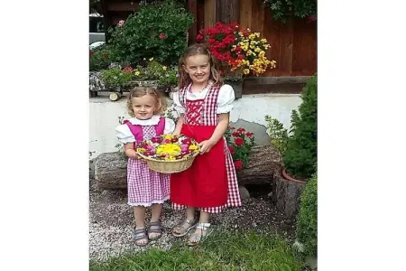 Maison 4 pers., balcon, proche ski Alta Badia : photo 4