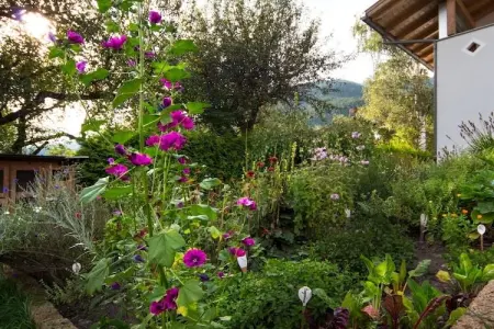 Gîte fermier avec jardin et barbecue à St. Georgen : photo 2