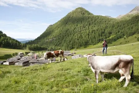 Maison Schönblick à Spinges, vue sur les Dolomites : photo 19