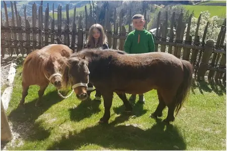 Gîte de ferme 12 pers. à Barbian avec spa nordique : photo 18