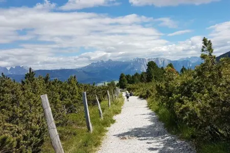 Gîte de ferme 12 pers. à Barbian avec spa nordique : photo 40