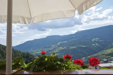 Maison de vacances avec vue panoramique, Lajen : photo 6