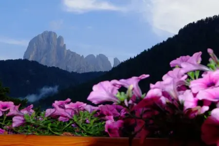 Appartement Se la rì à St. Ulrich, vue Langkofel : photo 5