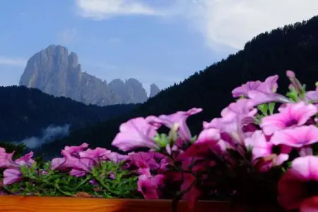 Appartement Se la rì à St. Ulrich, vue Langkofel : photo 17