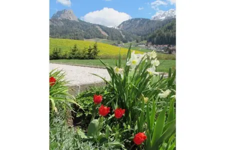 Maison Wolkenstein, 3 chambres, vue Langkofel : photo 9