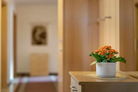 Maison Wolkenstein, 3 chambres, vue Langkofel : photo 36