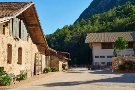 Maison vignoble Eppan, vue Dolomites, certifiée KlimaHaus : photo 6
