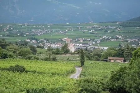 Maison vignoble Eppan, vue Dolomites, certifiée KlimaHaus : photo 30