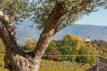 Maison vignoble Eppan, vue Dolomites, certifiée KlimaHaus : photo 33