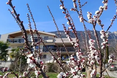 Appartement Time à St. Pauls, terrasse avec vue vignobles : photo 5