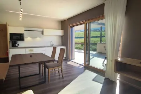 Appartement Time à St. Pauls, terrasse avec vue vignobles : photo 20