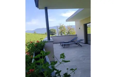 Appartement Time à St. Pauls, terrasse avec vue vignobles : photo 22