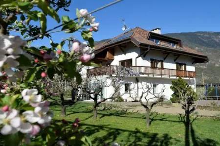 Maison au cœur des vergers avec piscine privée : photo 1