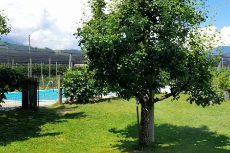 Maison au cœur des vergers avec piscine privée : photo 11