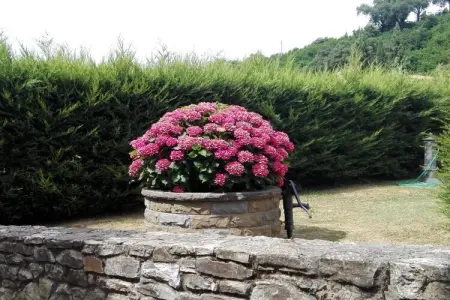 Appartement Terzilio à Greve in Chianti, XIXe siècle : photo 3