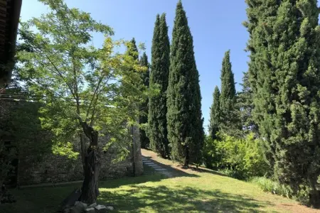 Maison Fienile à Montespertoli, piscine et terrasse : photo 10