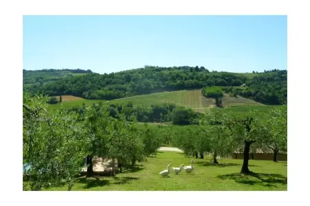 Maison Poggio ai Monti, piscine et vue vallée à Certaldo : photo 3