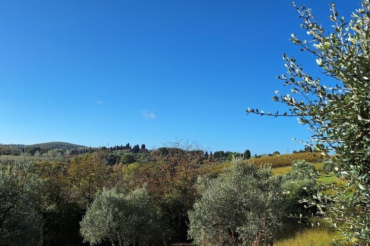 Maison avec piscine au domaine viticole Orzale, Montaione - Photo 3