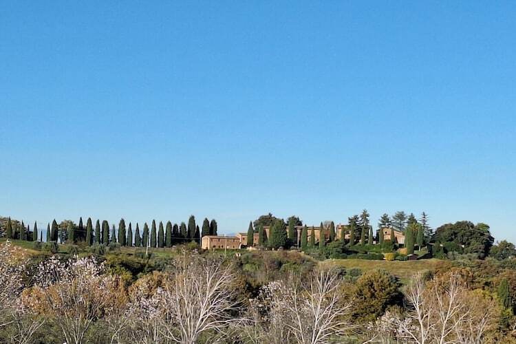 Maison Orzale : 6 pers., piscine et vignoble toscan - Photo 4