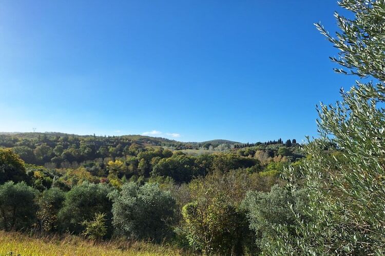 Maison Orzale : 6 pers., piscine et vignoble toscan - Photo 24