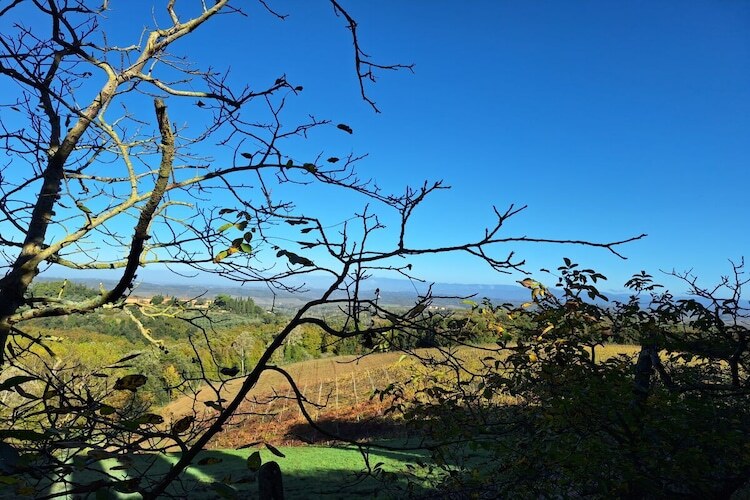 Maison Orzale : 6 pers., piscine et vignoble toscan - Photo 34